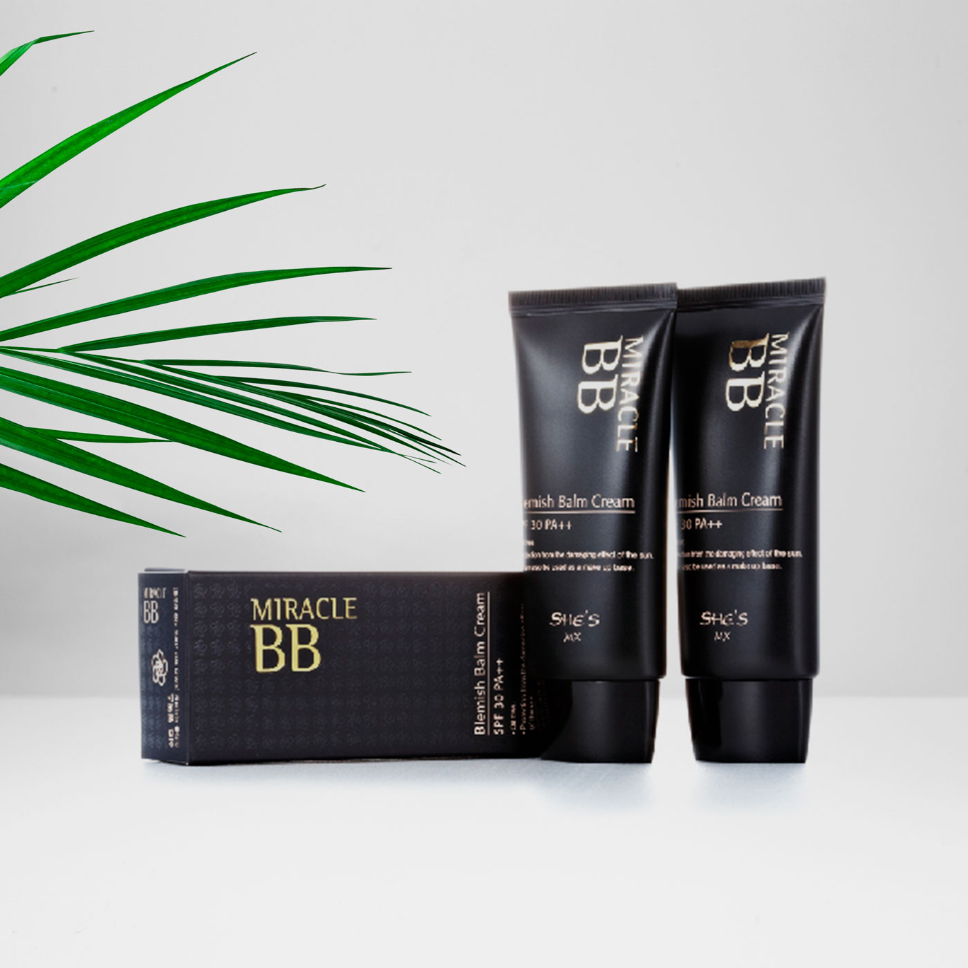 [ȭ��ǰ ��Ű�� ������] ���� �̶�Ŭ ���ũ��